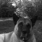 Kirk Budd - Facebook