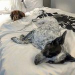@kirk_burke - Instagram