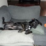 kirk campbell - @ping_pong_king_of_the_world - Instagram