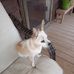 Kirk Chester - Facebook