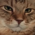 Kirk Psenner - @kirkclayart - Instagram