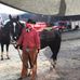 Kirk Collier - Facebook
