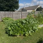 Kirk Crane - Facebook