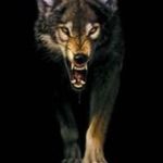 Dalton Kirk - @daltonkirk15 - Instagram