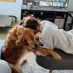 Kirk Daniels - @capt_kirk66 - Instagram