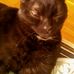 Kirk Daugherty - Facebook