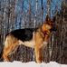 Kirk Dewitz - Facebook
