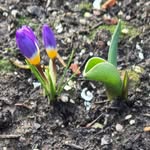 Kirk dodds - @ksd73 - Instagram