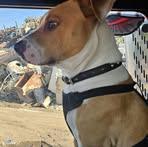 Kirk Dotson - Facebook