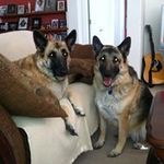 Kirk Fleming - @kirkflmng - Instagram