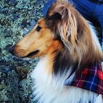 Kirk Gauthier - @kirkgoat - Instagram