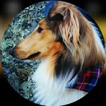 Kirk Gauthier - @kirkgoat3 - Instagram