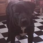 Ozzy Kirk-grantham - @ozzy.kirkgrantham - Instagram