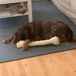 Kirk Gross - @kirk.gross.505 - Instagram