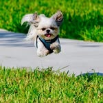 Patti Kirk Gross - @h2ovideo - Instagram