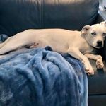 Melinda Gunn-Kirk - @gunnkirk - Instagram