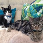 Kirk Hackler - @captkirkhackler - Instagram