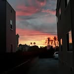 Kirk Haynes - @kirkhaynes52 - Instagram