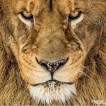 Kirk Hebert - @kirk.hebert.9 - Instagram