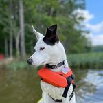 Kirk Holcomb - @kdaddy1963 - Instagram