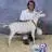 Kirk Hubbard638 - @goat_shepherd - TikTok