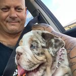 Kirk Jarman - @kirkjarman - Instagram