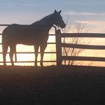 Kirk Jarrett - @kj360vr - Instagram