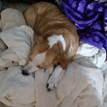 Kirk Johnson - @kirk_johnson091 - Instagram