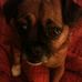 Kirk Kern - Facebook