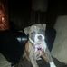 Kirk Kline - Facebook