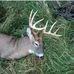 Kirk Lentz - Facebook