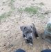 Kirk Lawson - Facebook