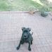 Kirk Lester - Facebook