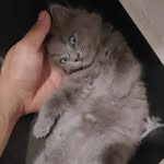 Kirk Lester Batnag - @xabara2316 - Instagram