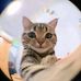 Kiro Linston - Facebook