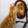 lowkirkentuallylowry - @lowkirkentuallylowry - TikTok