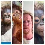 Kirk Madsen Dixie - @kirkmadsendixie - Instagram