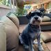 Kirk Mayer - Facebook
