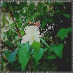 Nilda Quinby - @kirkmayoralmwb - Instagram