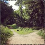 Kirk Michaud - @nanahoramagesqv - Instagram