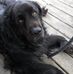 Kirk Mitchell - Facebook