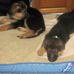 Kirk Murphy - Facebook