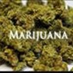 Kirk Newman - @kirk7879 - Instagram