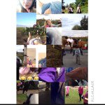 Kirknewton Riding And Trekking - @kirknewton_riding_and_trekking - Instagram