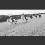 Kirknewton Riding And Trekking - @kirknewtonponies__ - Instagram