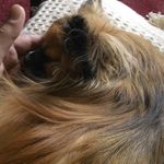 Kirk Oakes - @oakeskirk - Instagram