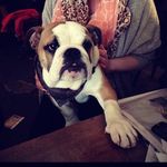 Kirk Owen - @owen4376 - Instagram