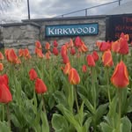 Kirkwood Parks and Recreation - @kirkwoodparksandrec - Instagram