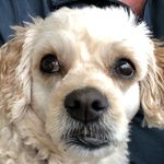 Kirk Pepper - @pepper.kirk - Instagram