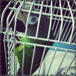 Kirk Pepper - @tallutoamiraoo - Instagram